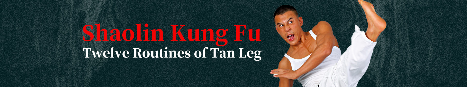 Shaolin Twelve Routines of Tan Leg